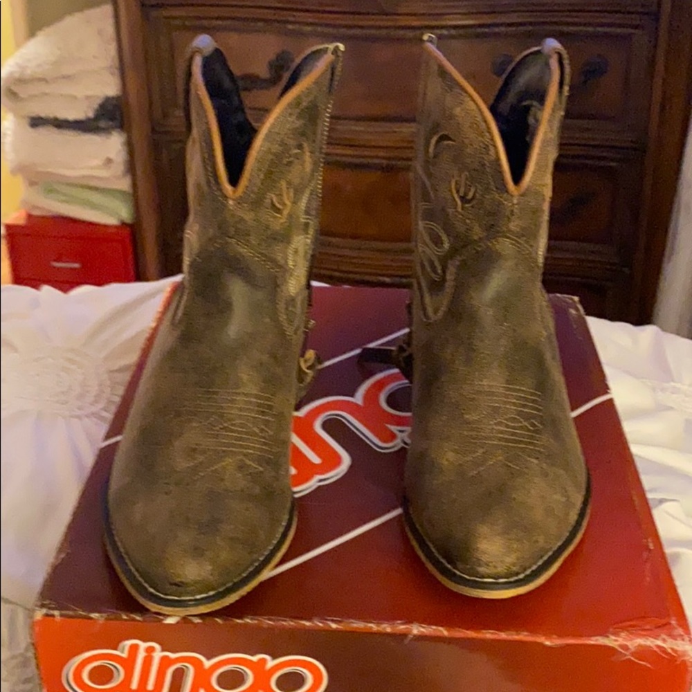 Distressed Ladies Dingo cactus moon boots